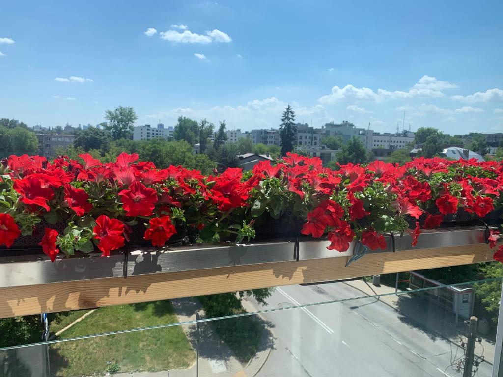 Zdjęcie apartamentu 3